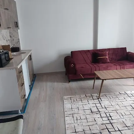 Istanbul Airport Family Appart hôtel *